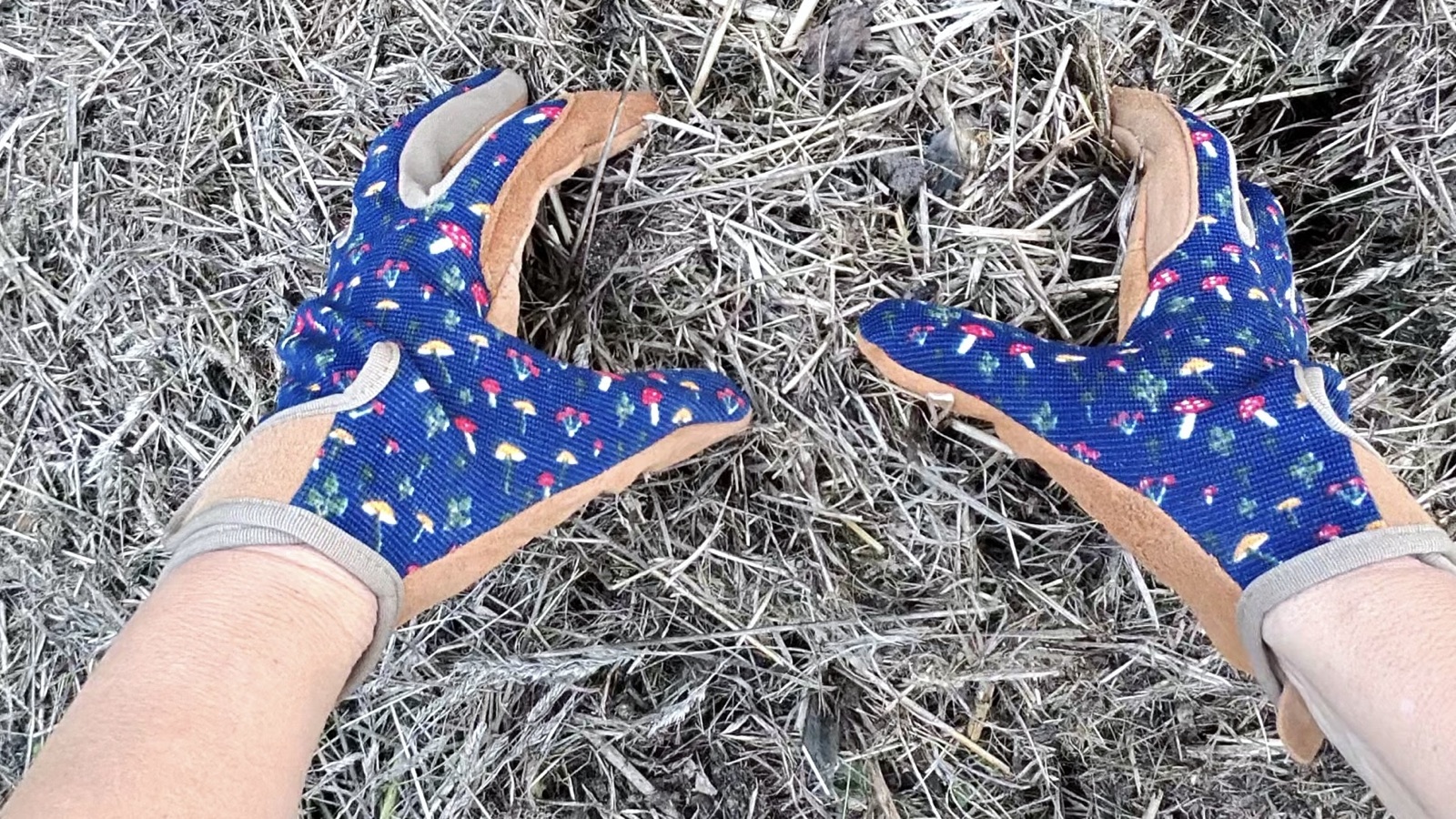 Zahradní rukavice s koženou dlaní při práci v mulči na podzimním záhonu